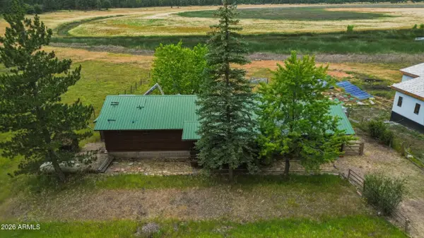 127 Lakeview Court, Mormon Lake, AZ 86038