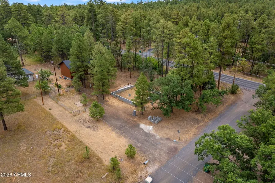 1579 S Arlene Lane #237, Pinetop Lakeside, AZ 85929 - #2