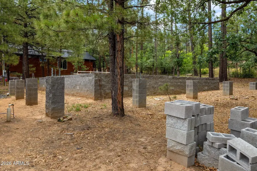 1579 S Arlene Lane #237, Pinetop Lakeside, AZ 85929 - #3