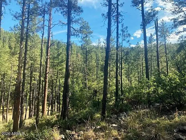 21 S Louie Circle #21, Payson, AZ 85541 - #3