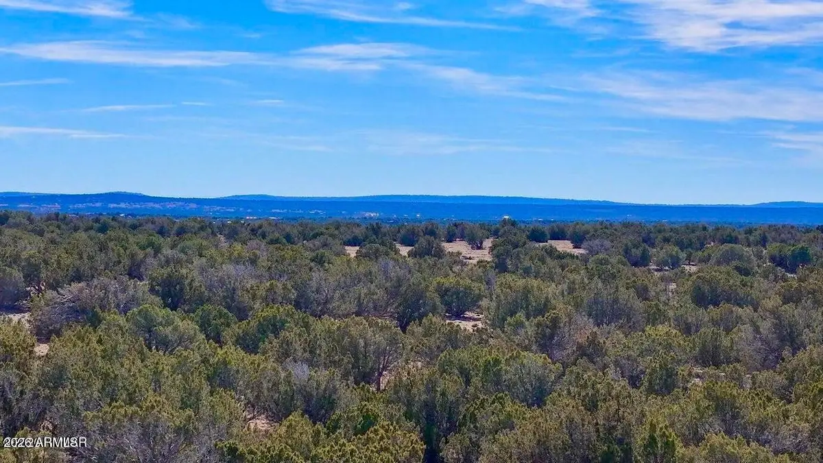 9023 Appaloosa Trail Lots C & E --, Show Low, AZ 85901 - #1