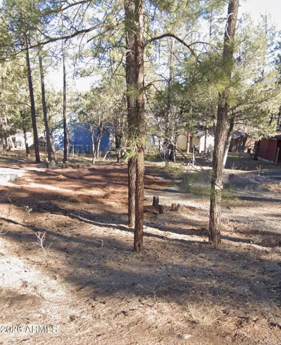 4317 Antelope Lane #74, Show Low, AZ 85901 - #2