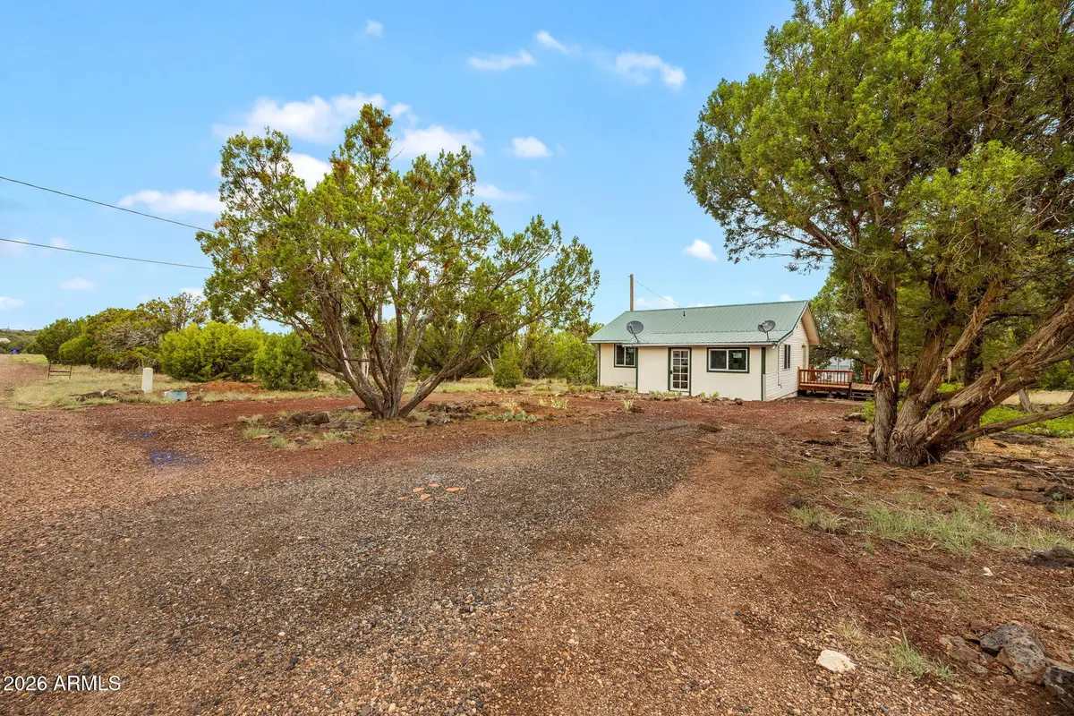 8376 Apache Drive, Show Low, AZ 85901 - #1