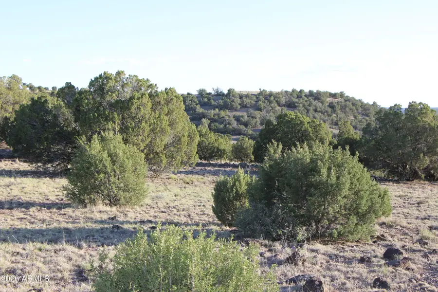 8623 Tbd County Road 8623 -- #62, Concho, AZ 85924 - #3