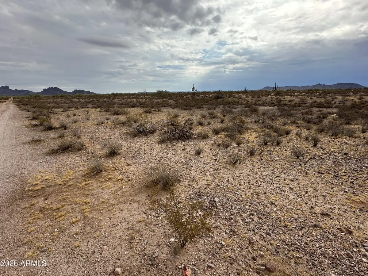 334xx W Painted Wagon Trail #55, Wittmann, AZ 85361 - #1