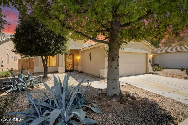 49 W Nolana Place, San Tan Valley, AZ 85143
