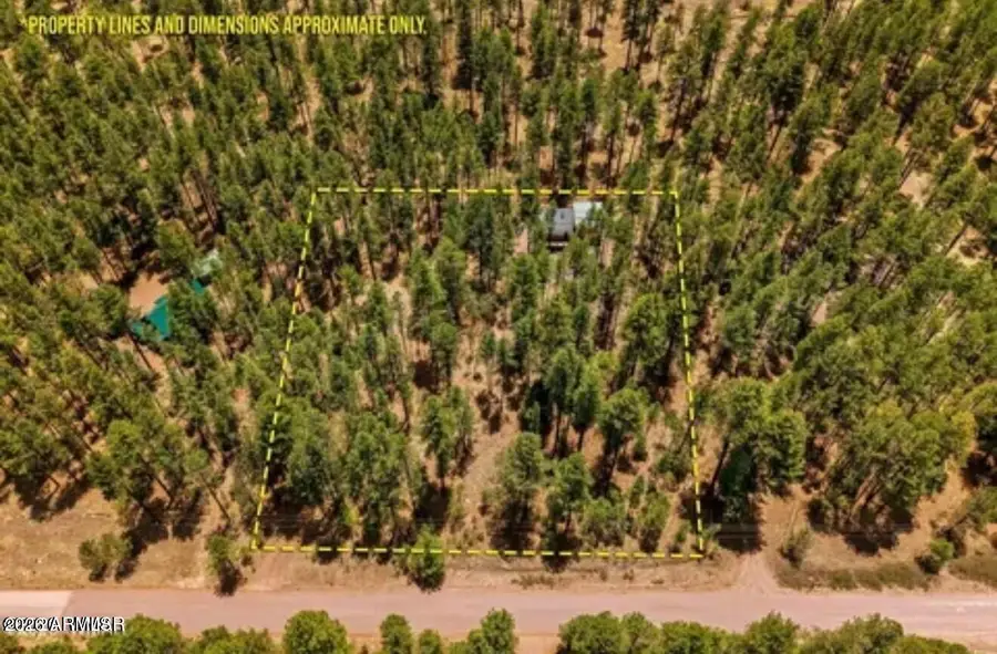 70 County Road 2266 --, Alpine, AZ 85920 - #3