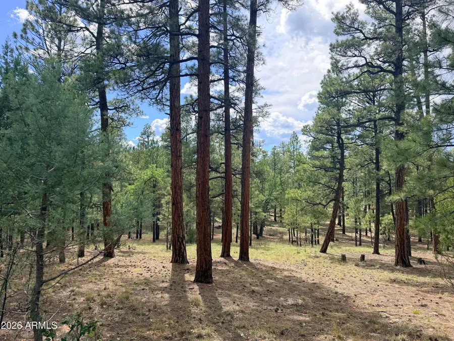 3212 Apache Drive #589, Happy Jack, AZ 86024 - #3