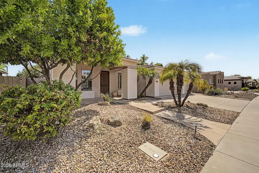 343 W Carob Drive, Chandler, AZ 85248 - #3