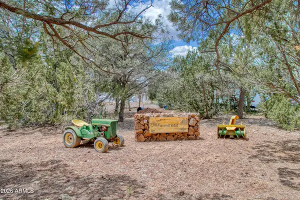 21 N3095 -- #2, Show Low, AZ 85901