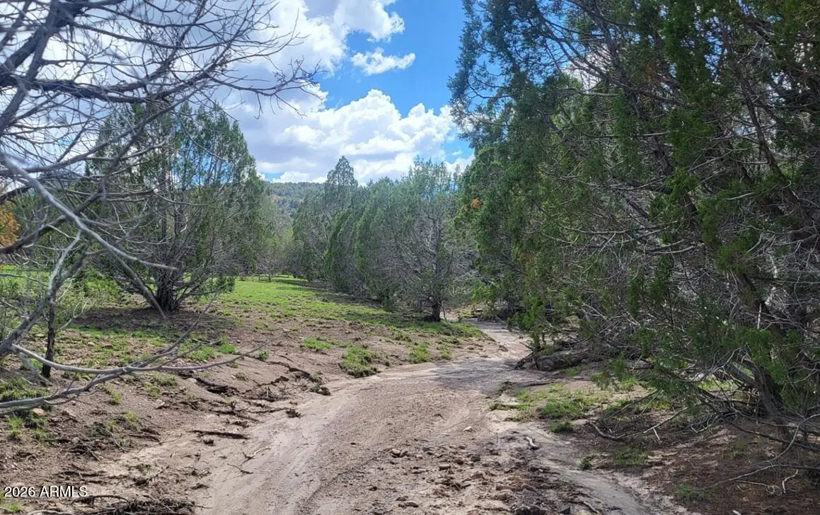 111 N Ranch Road #111, Williams, AZ 86046 - #1