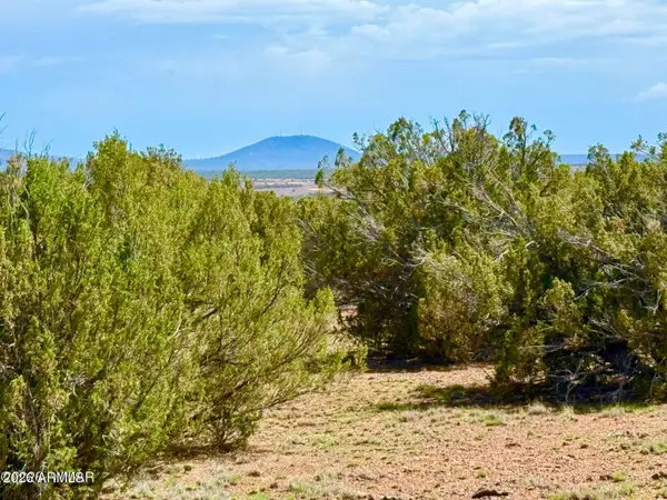 0 Gample Ln 13 Acres (lot C) --, Show Low, AZ 85901