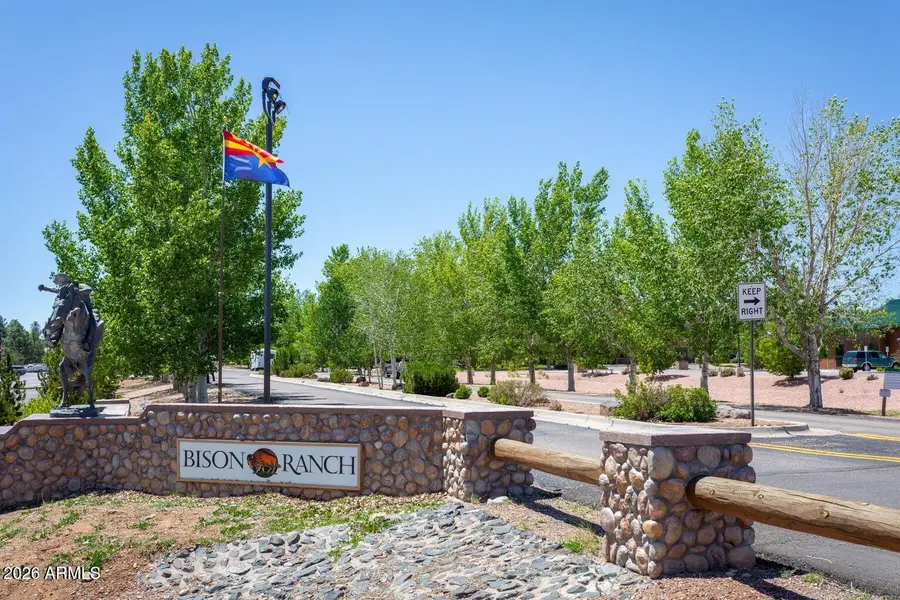 2341 Quarter Horse Trail #196, Overgaard, AZ 85933 - #3
