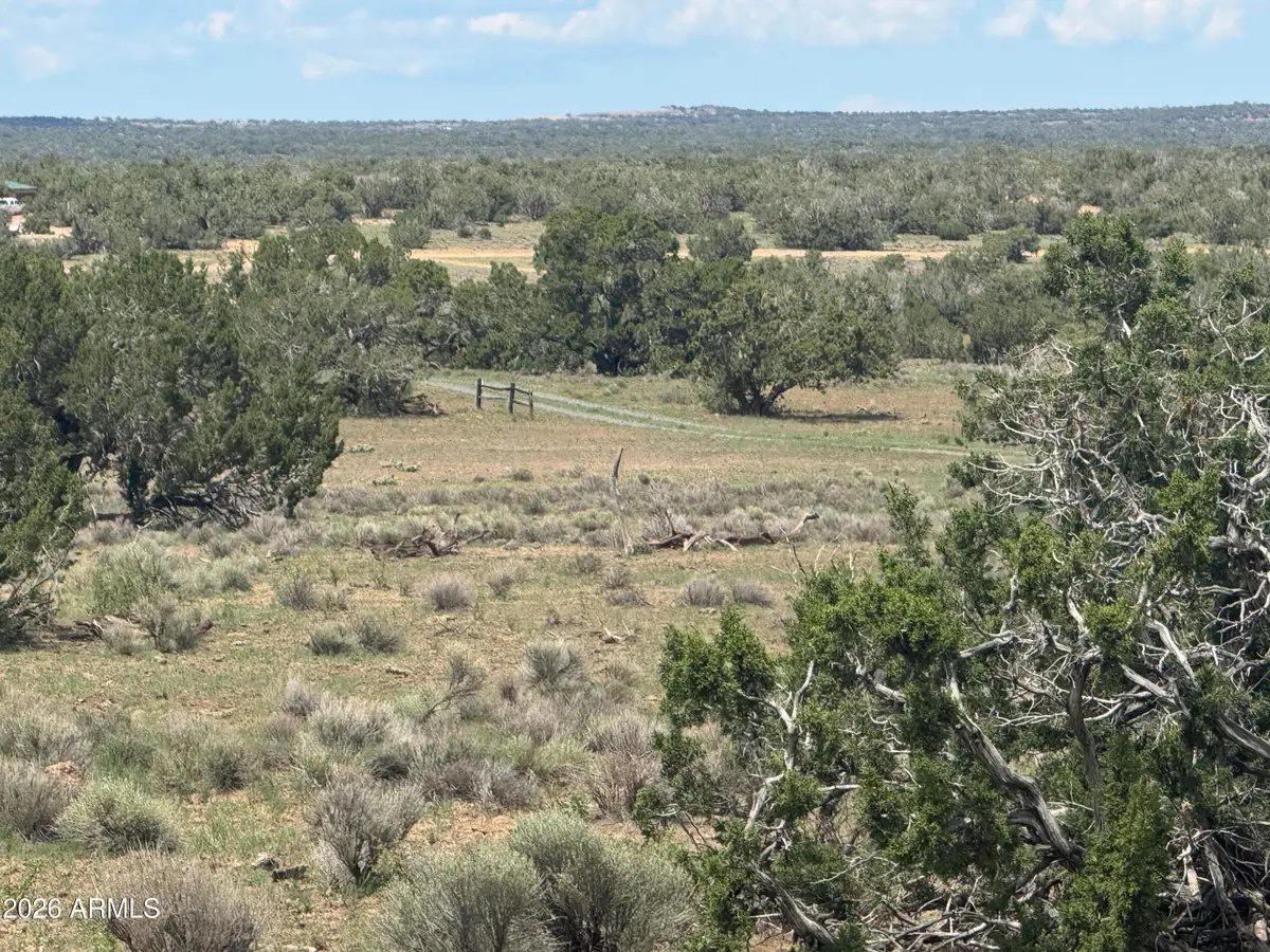 Lot 19 Red Sky Ranch -- #19, Sanders, AZ 86512 - #1