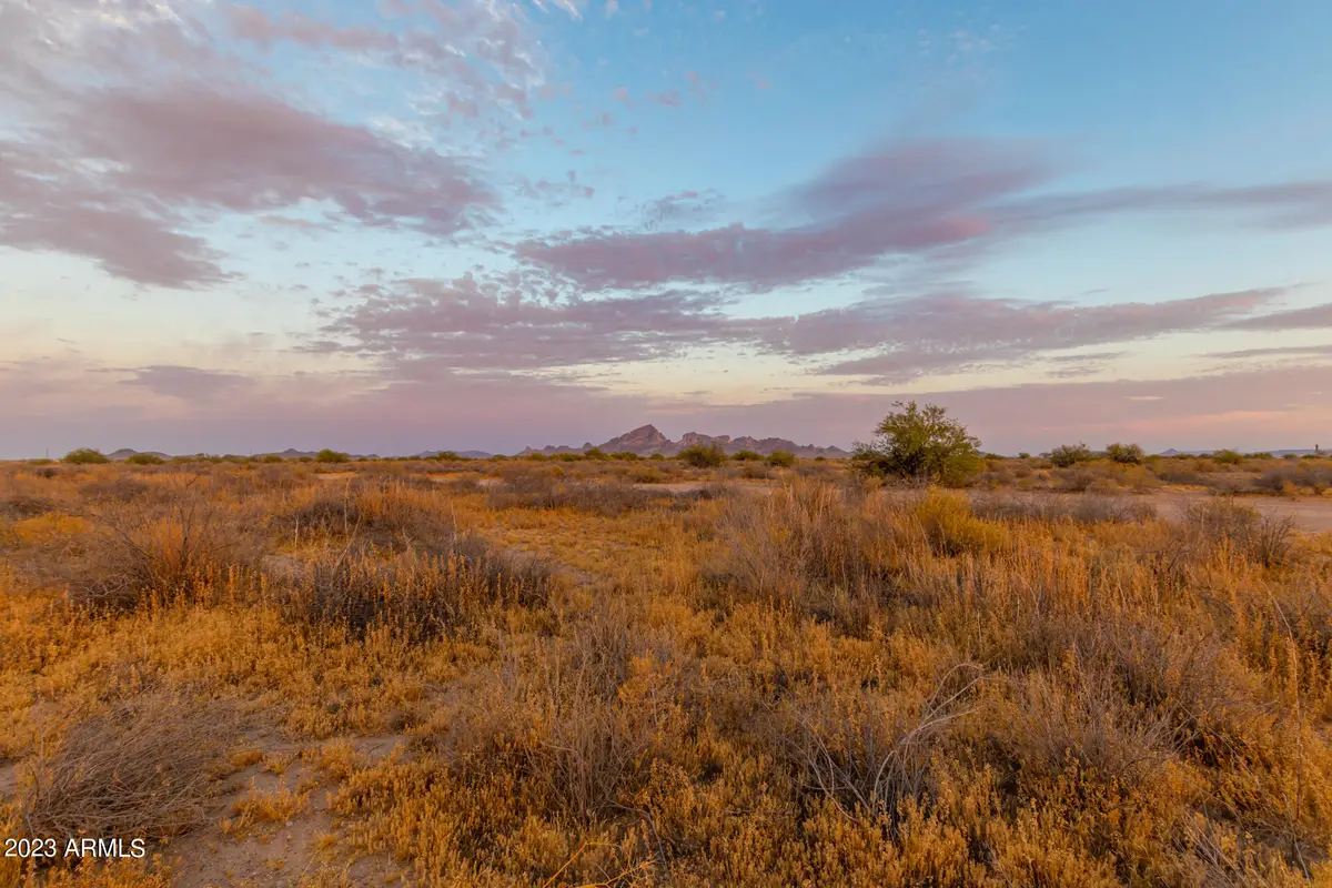 490 W Lotus Lane #29, Tonopah, AZ 85354 - #1