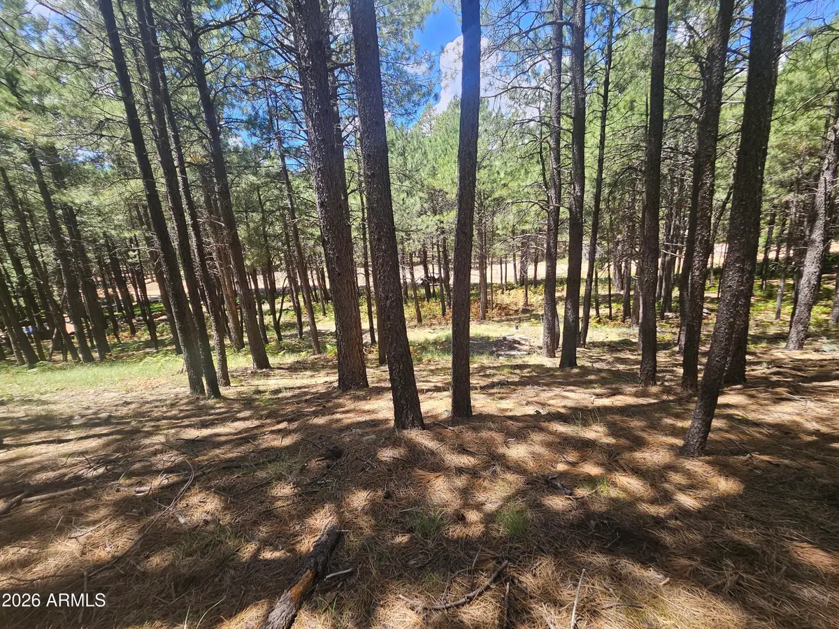 589 Trout Springs Road #71, Forest Lakes, AZ 85931 - #1
