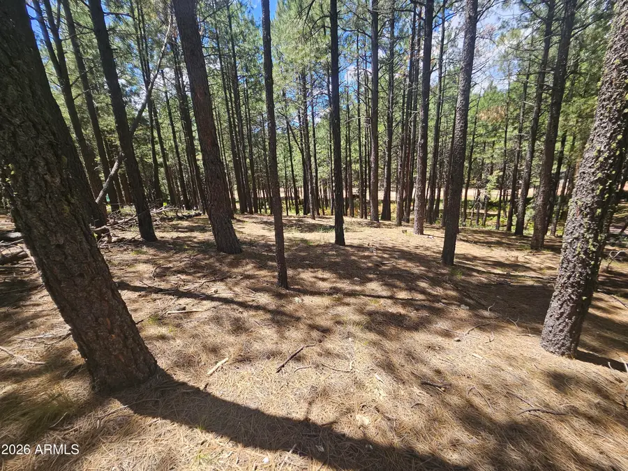 589 Trout Springs Road #71, Forest Lakes, AZ 85931 - #3