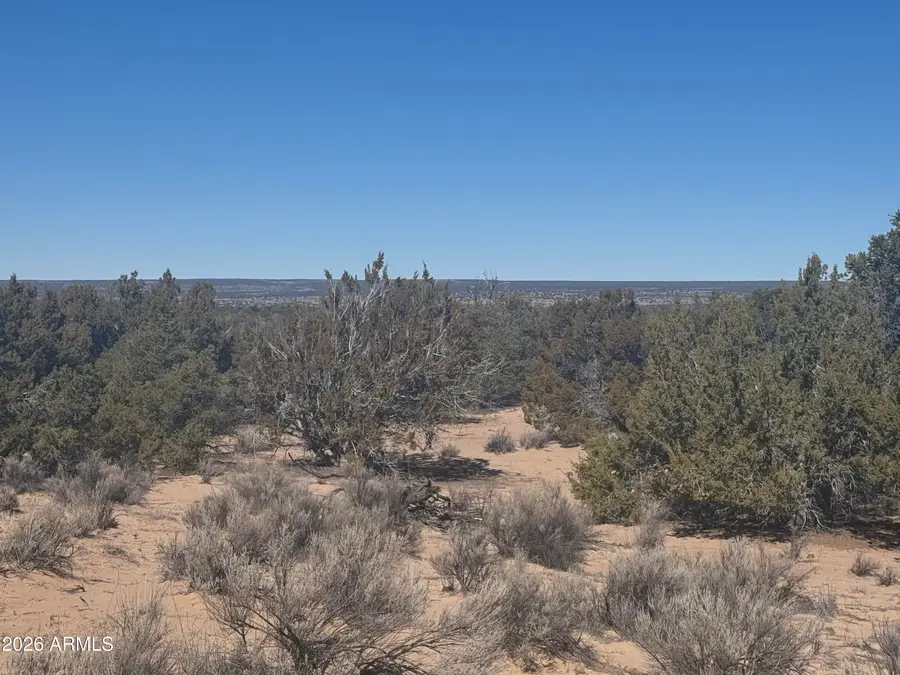 Lot 52 Witch Well Ranchos -- #52, Saint Johns, AZ 85936 - #3