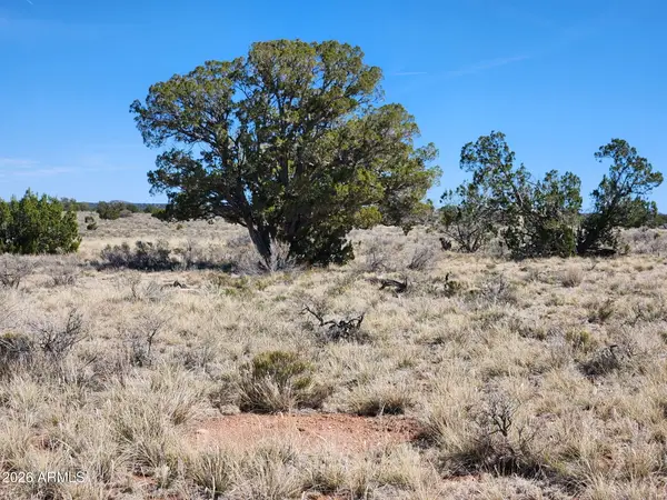 721 S Wyandotte Road #243, Williams, AZ 86046