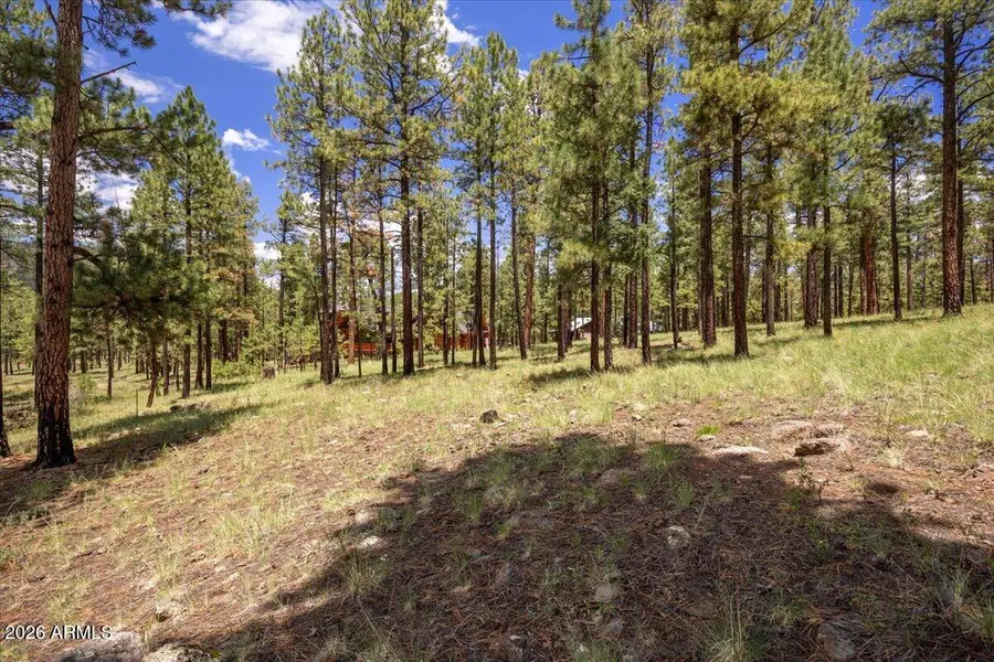 14 County Road N1062 -- #15, Greer, AZ 85927 - #3