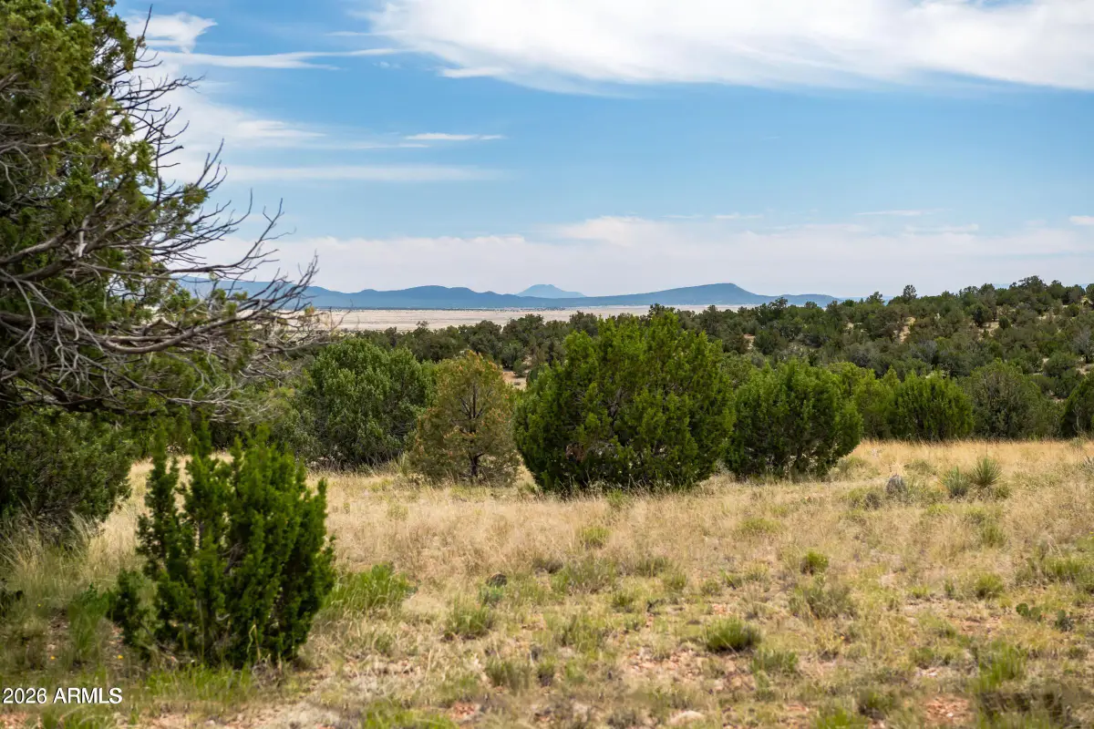 B Pine Ridge Road -- #50, Seligman, AZ 86337 - #1