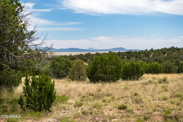 B Pine Ridge Road -- #50, Seligman, AZ 86337