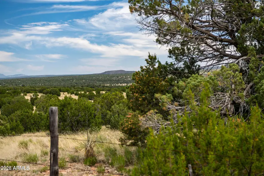 B Pine Ridge Road -- #50, Seligman, AZ 86337 - #2