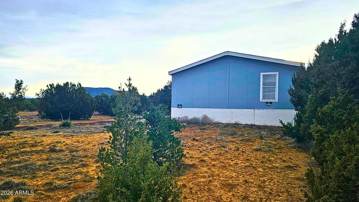 55 N Country Lane, Concho, AZ 85924 - #1