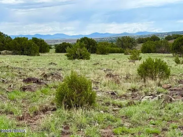 85 Co Rd 8128 Lots 100, 101 & 108 3.33 --, Concho, AZ 85924