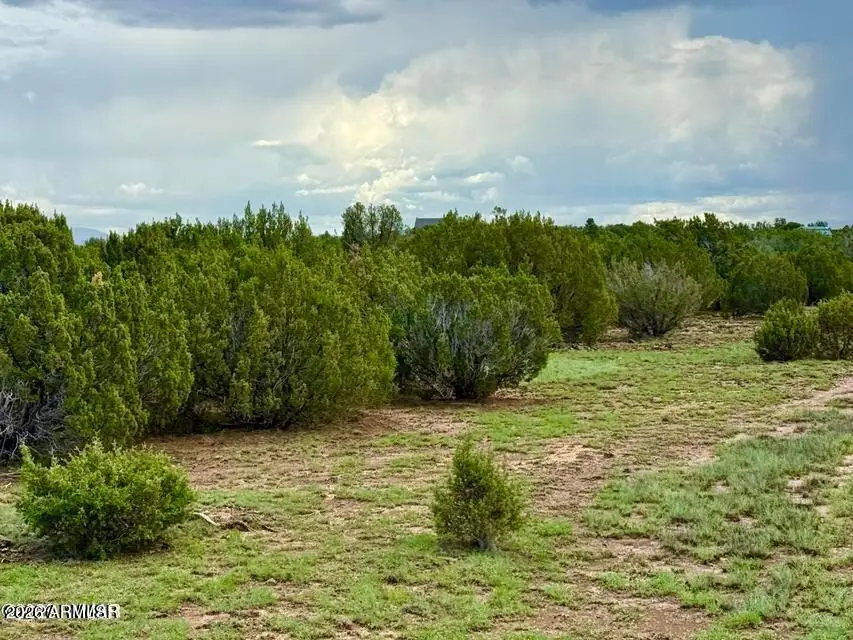 85 Co Rd 8128 Lots 100, 101 & 108 3.33 --, Concho, AZ 85924 - #3