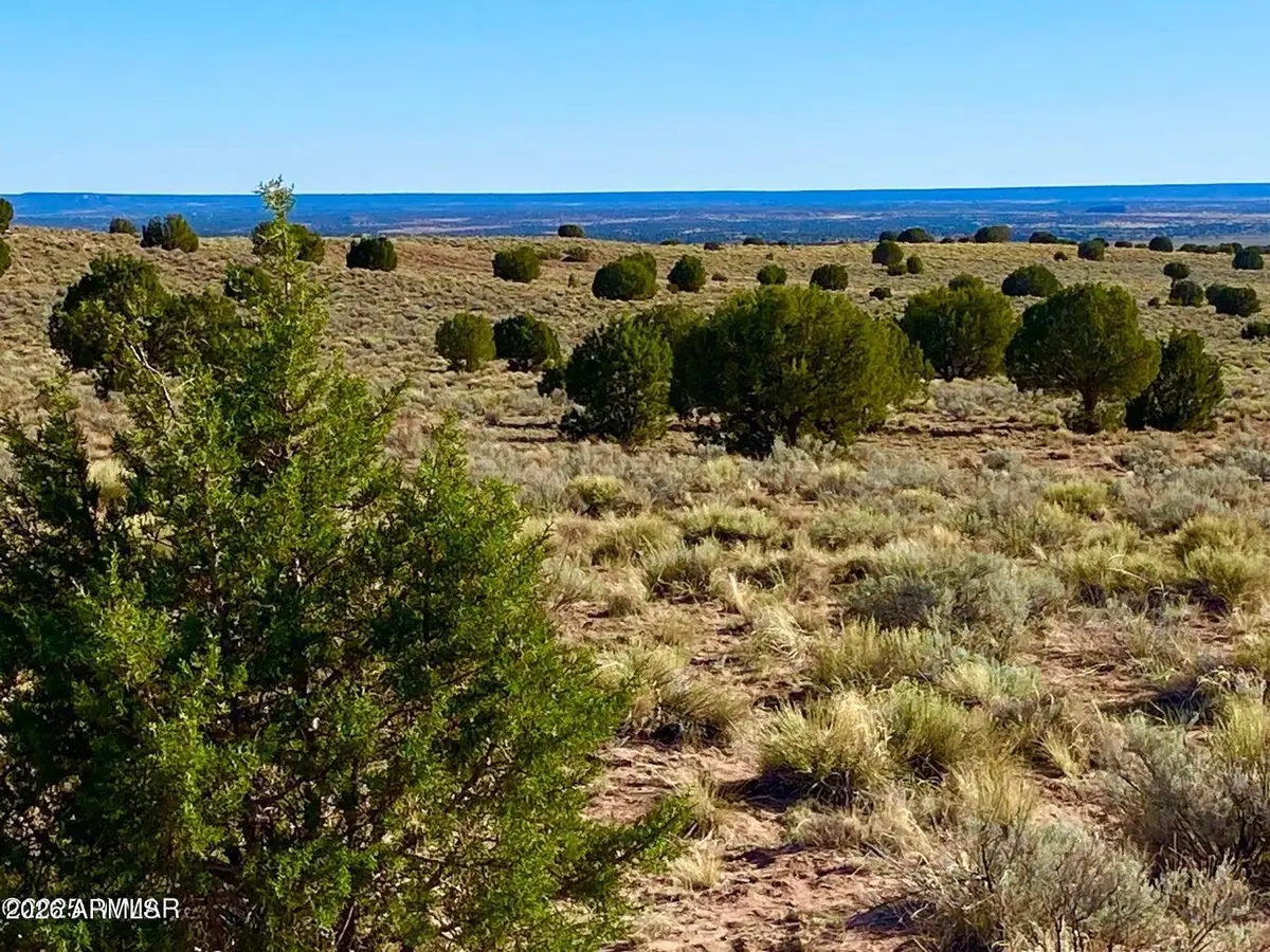 River Meadows Ranch Unit 3 Lot 204 --, Concho, AZ 85924 - #1