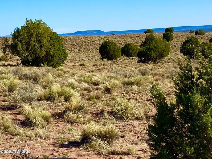 River Meadows Ranch Unit 3 Lot 204 --, Concho, AZ 85924 - #3