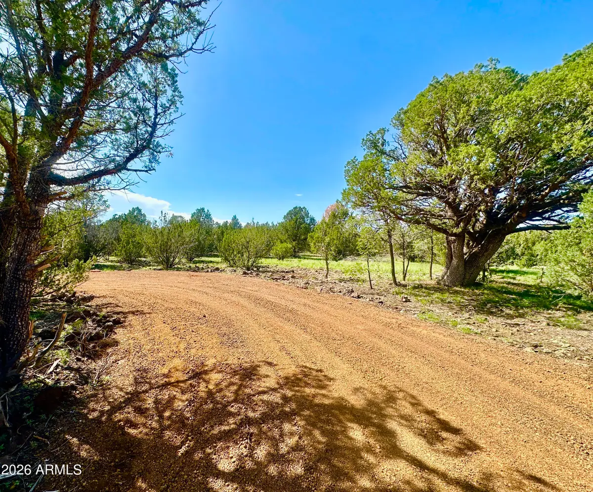 18 N3573 --, Vernon, AZ 85940 - #1