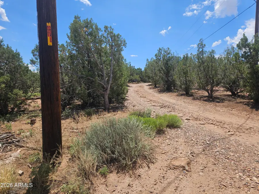3981 Apache Road, Snowflake, AZ 85937 - #3