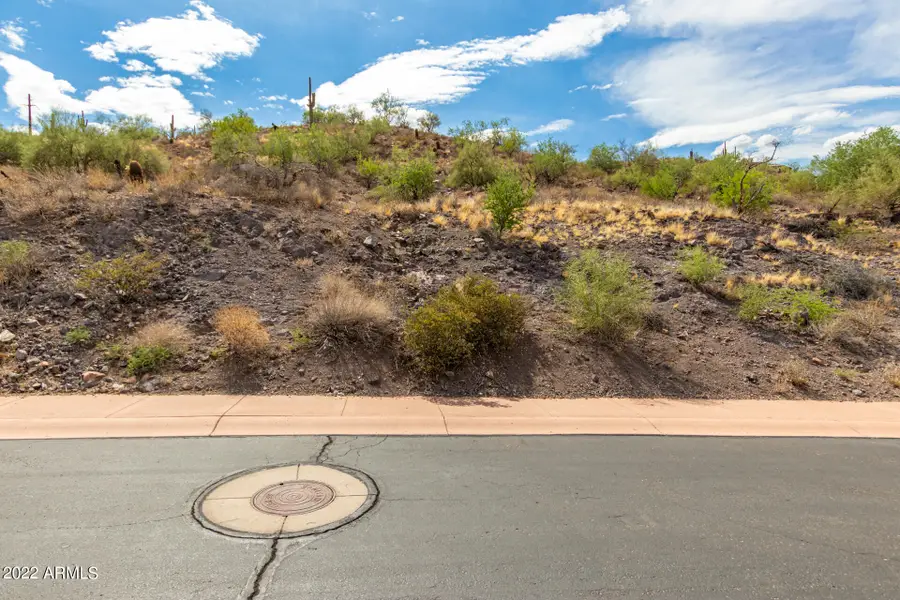 9130 N Lava Bluff Trail #14, Fountain Hills, AZ 85268 - #2