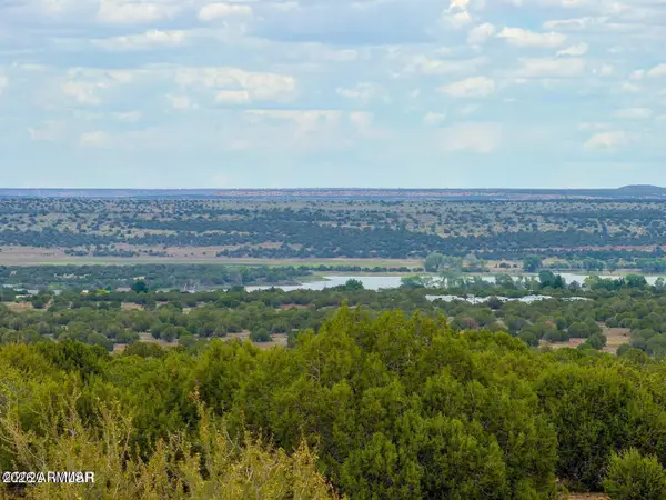 8087 Mustang Ln 20 Acres --, Show Low, AZ 85901