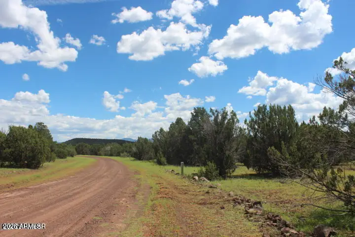 29 Co Rd 3199 --, Vernon, AZ 85940 - #2
