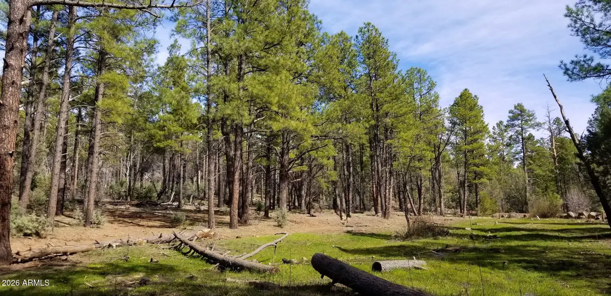 2259 E T Bear Trail #'-', Lakeside, AZ 85929 - #1