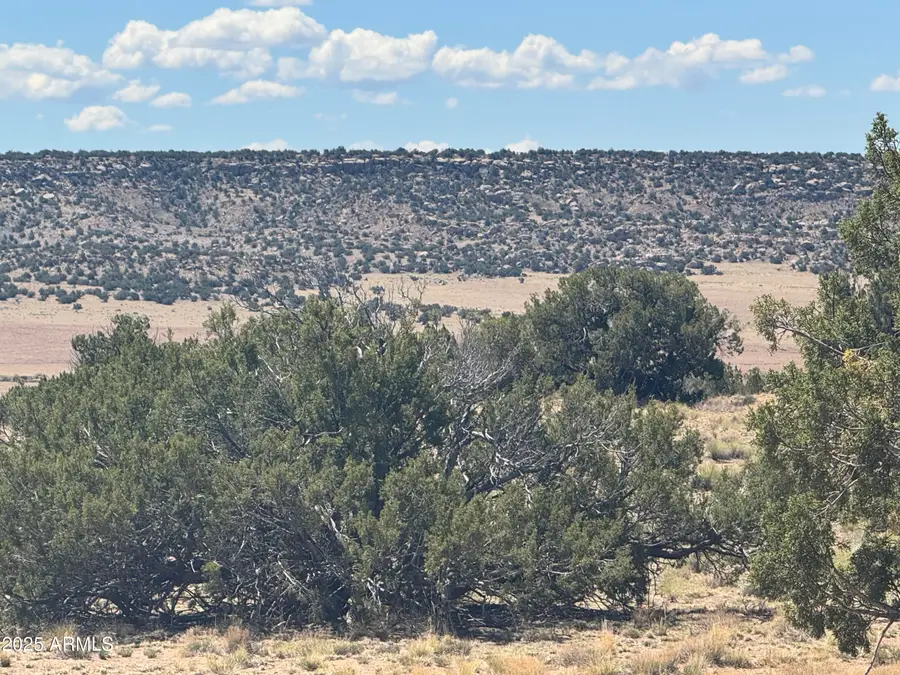 Lot 752 Woodland Valley Ranch -- #752, Saint Johns, AZ 85936 - #3