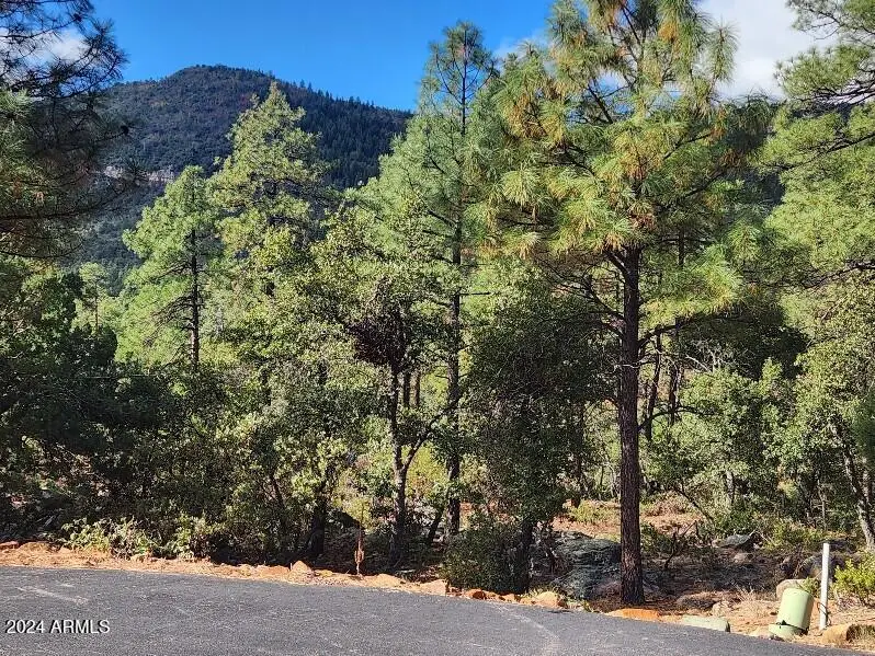 000 N Sundown Lane Lane #104, Pine, AZ 85544 - #2