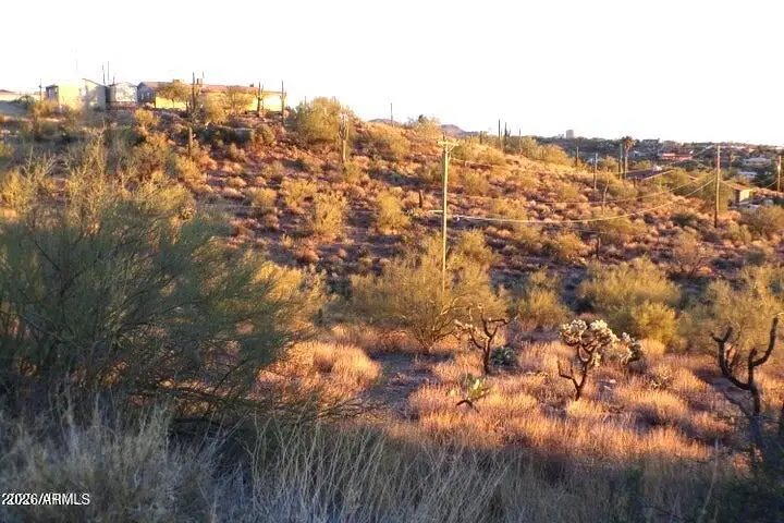 1097 N Queen Mary Way #218, Queen Valley, AZ 85118 - #3