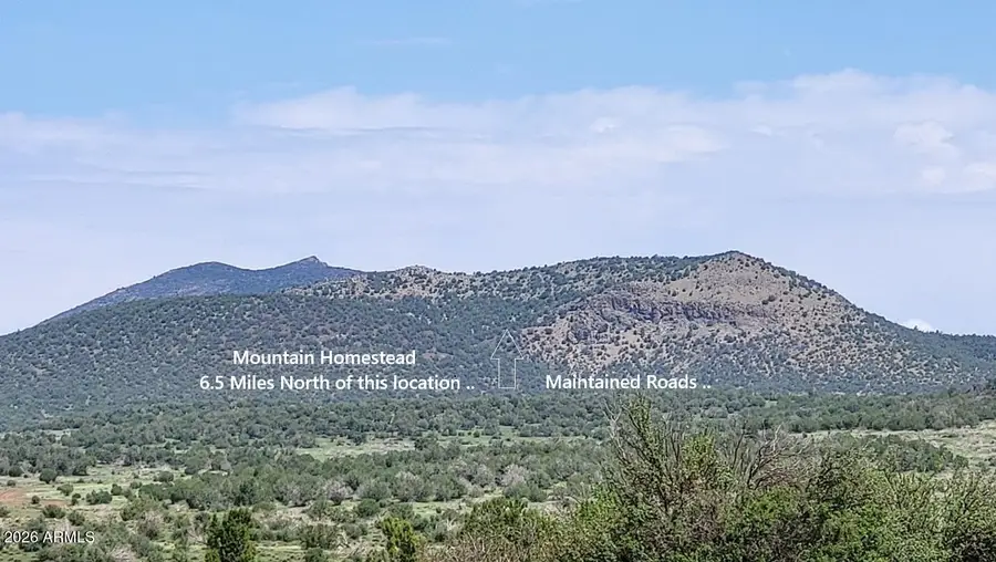 9716 Cattle Drive #163, Williams, AZ 86046 - #2