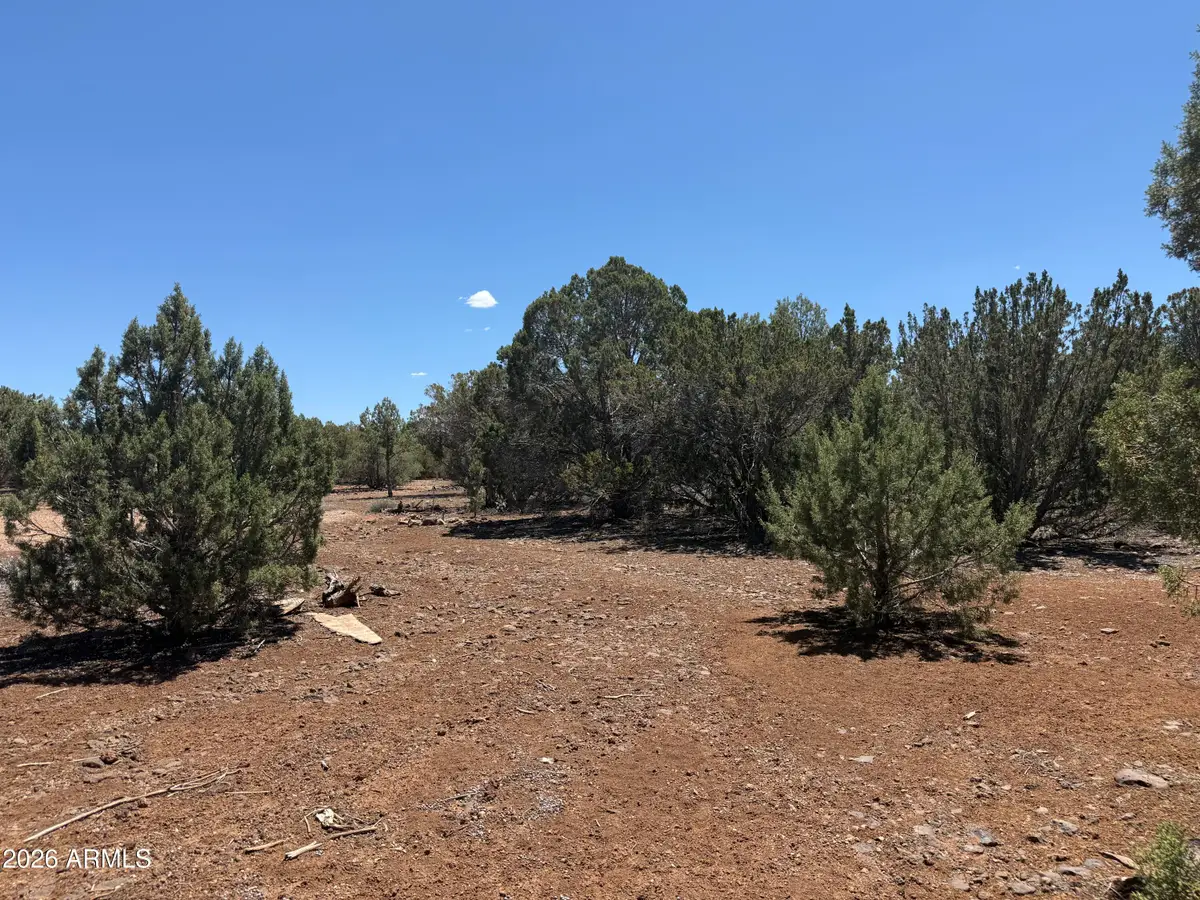 1886 White Tail Place #13-14, Show Low, AZ 85901 - #1