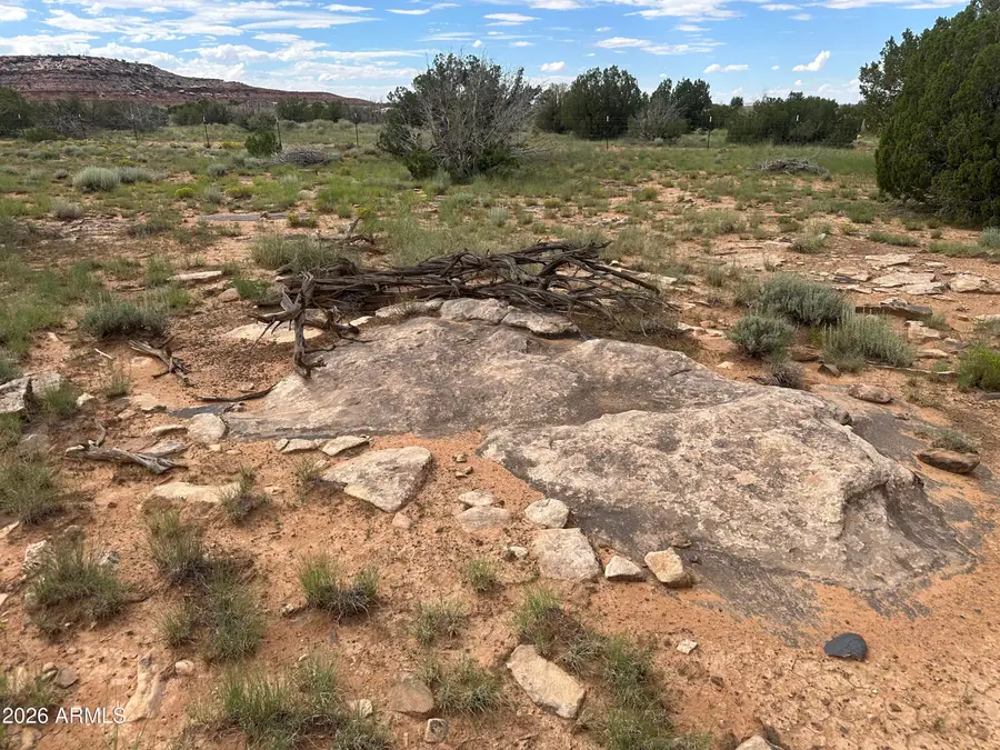 1771 W Ridgeview Ranch Drive, Snowflake, AZ 85937 - #3