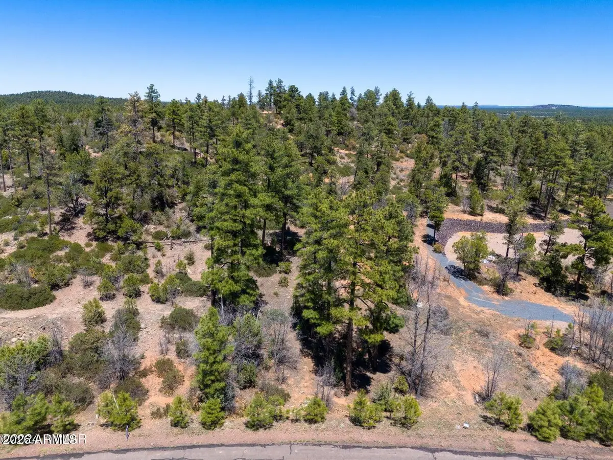 6007 Rim Road #066, Lakeside, AZ 85929 - #1