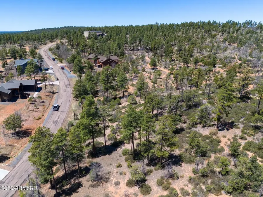 6007 Rim Road #066, Lakeside, AZ 85929 - #2