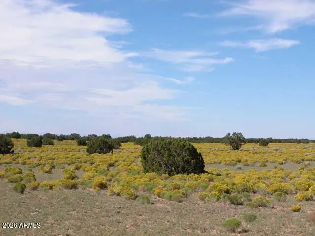 206-10-409 Bar Nothing Ranch Road, Chambers, AZ 86502 - #1