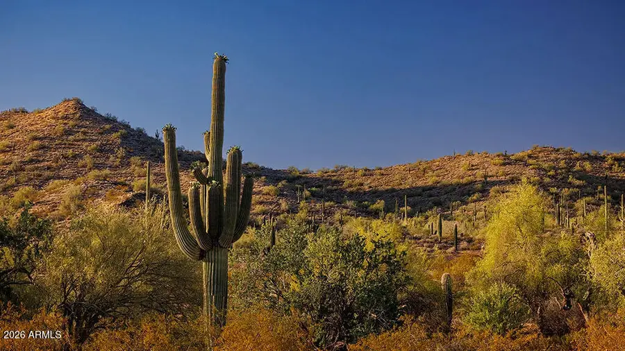 31551 N Goldfield Road, San Tan Valley, AZ 85144 - #2
