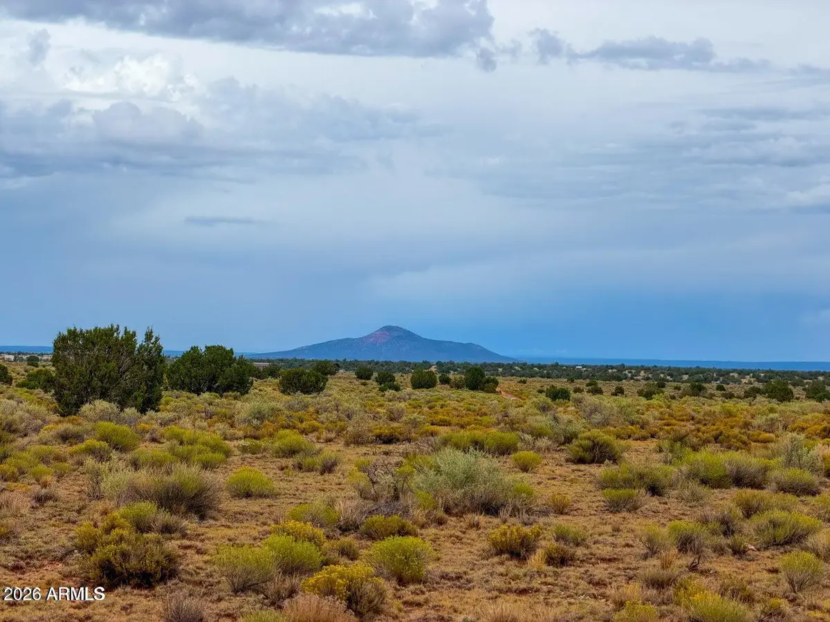 2056 S Avondale Road, Williams, AZ 86046 - #1