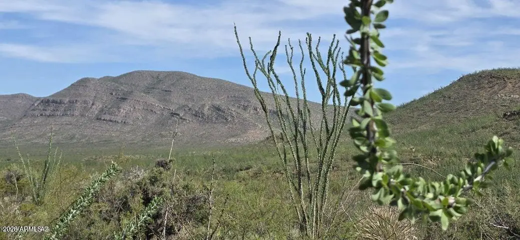TBD E Windmill Road, Tombstone, AZ 85638 - #1